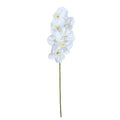 White Single Orchid (73cm)