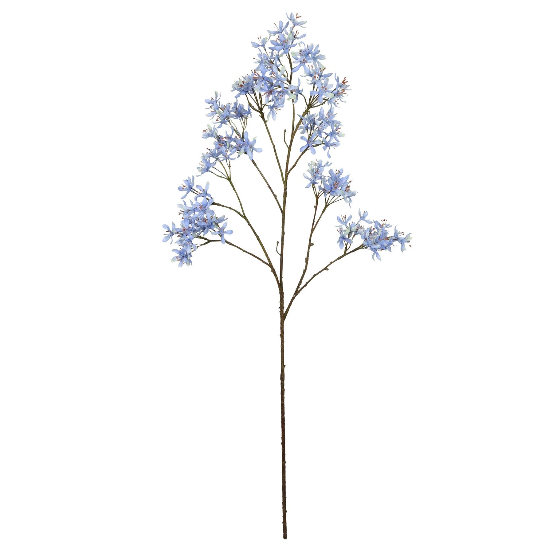 Blue Peach Spray (113cm)