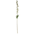 Digitalis Spray Cream (107cm)