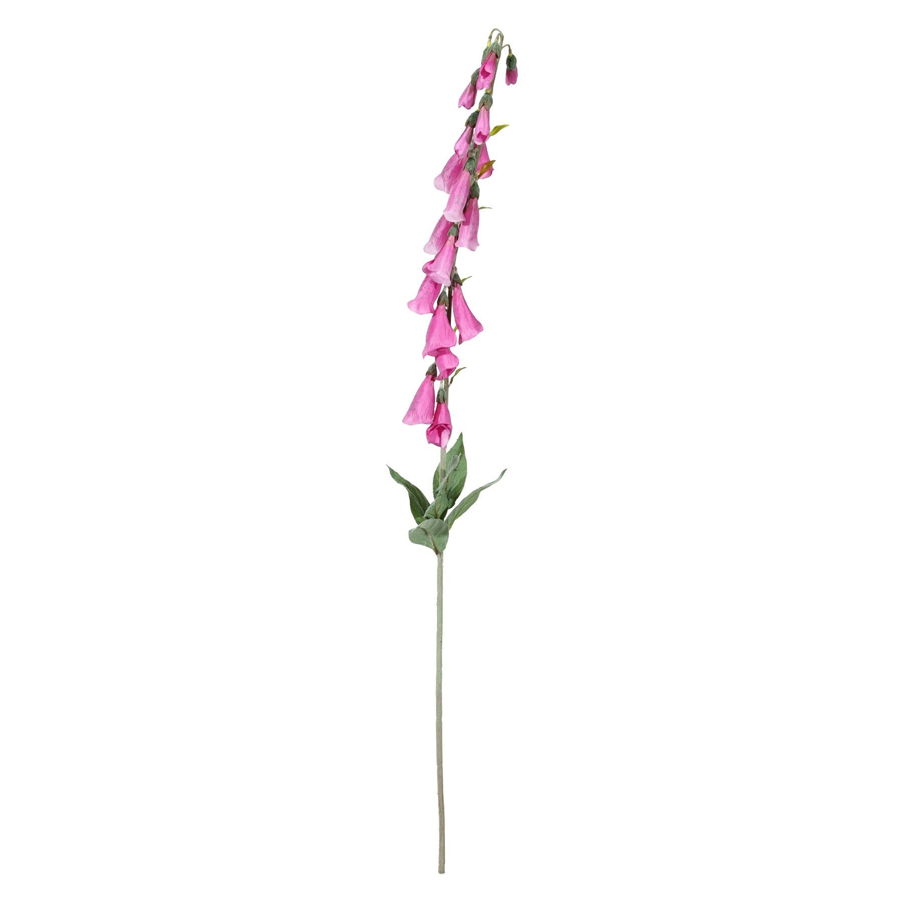 Dark Pink Digitalis Spray (107cm)