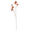 Cushaw Spray (97cm)