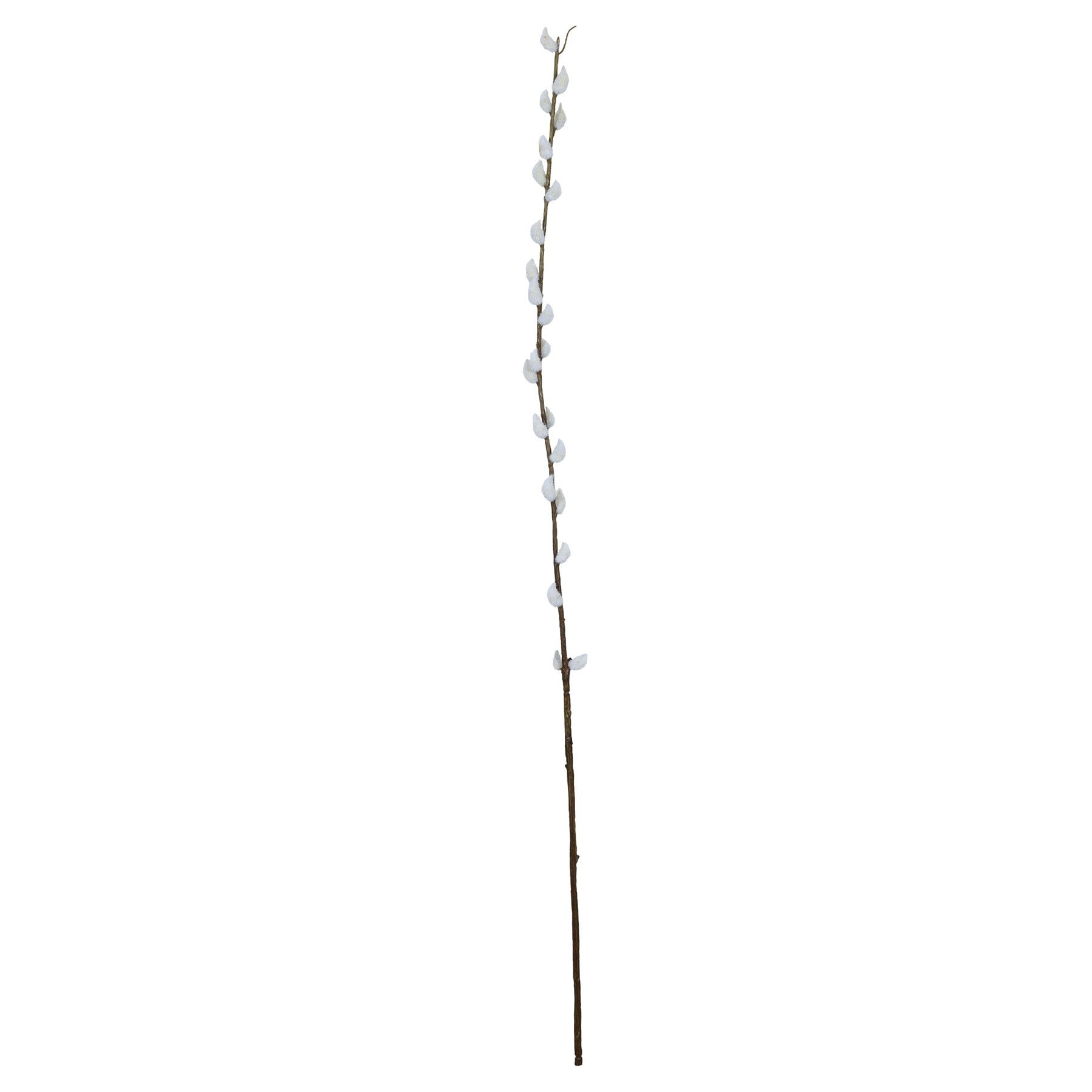 Natural Single Pussy Willow (89cm)