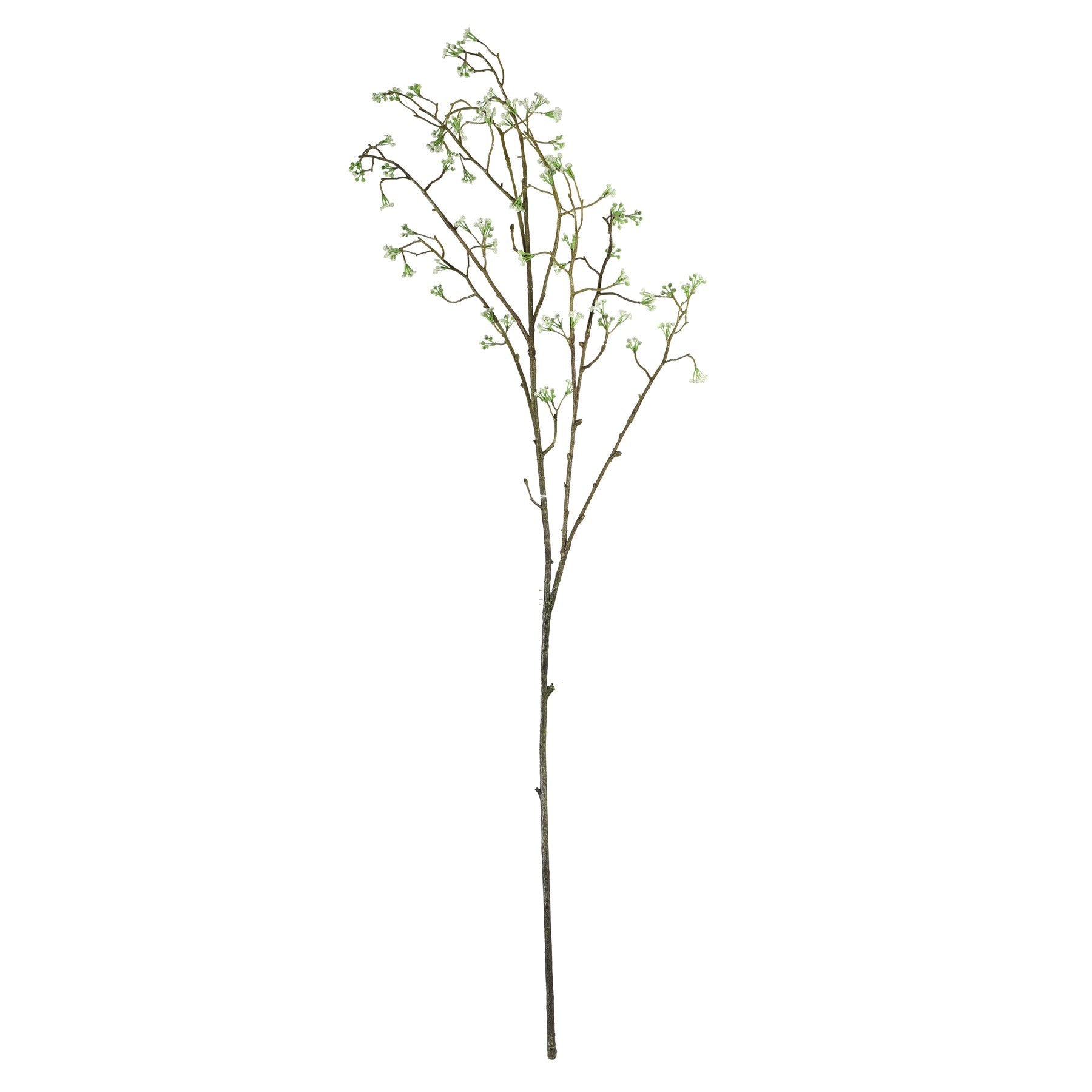 Cream Wild Carrot (91cm)
