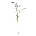 Cream Setaria Grass Spray (105cm)