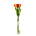 Essential Orange Small Parrot Tulip Bunch (6 Stems)
