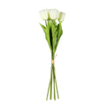 Essential Cream Small Parrot Tulip Bunch (6 Stems)