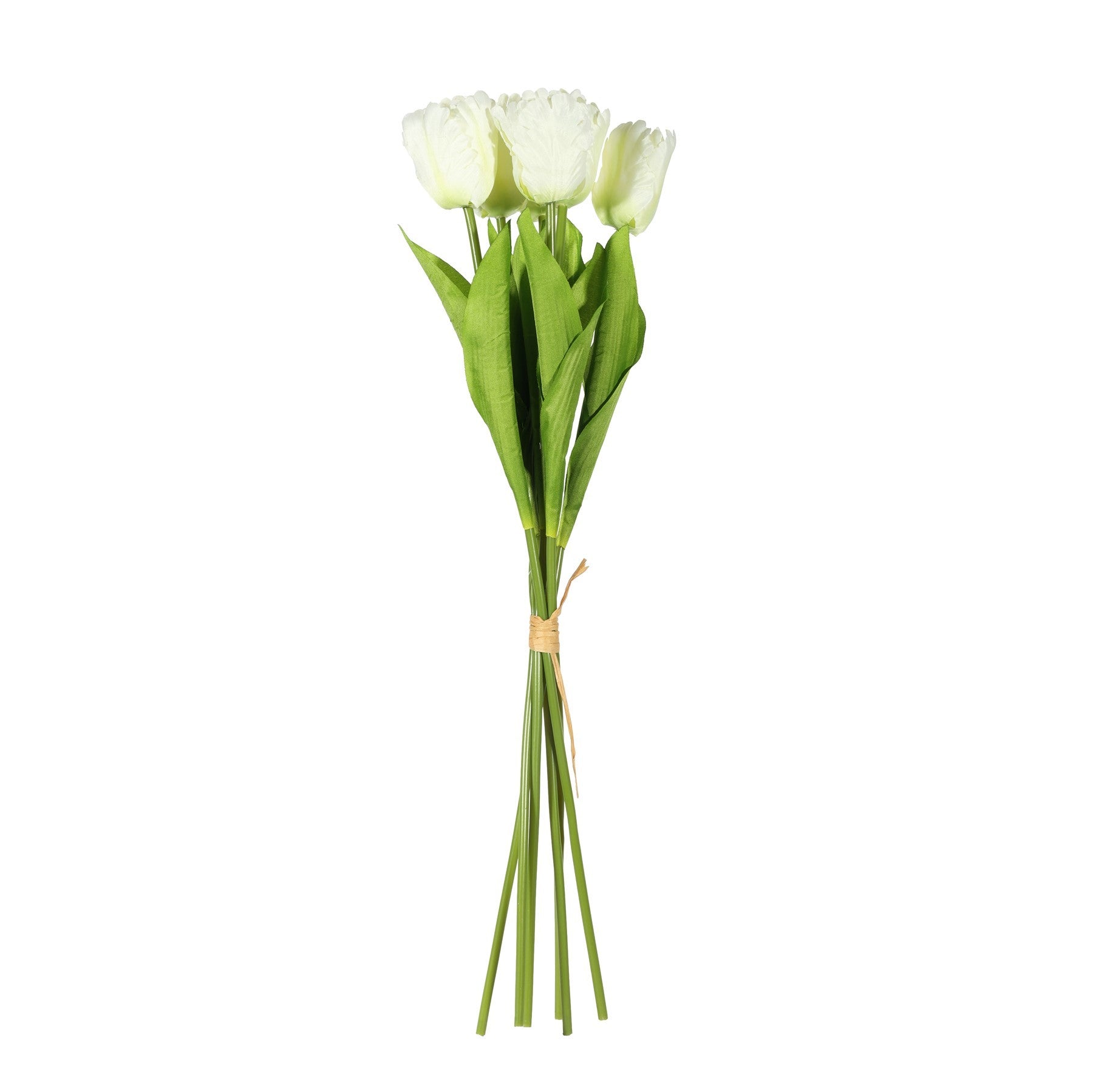 Essential Cream Small Parrot Tulip Bunch (6 Stems)