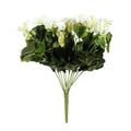Cream Geranium Bush