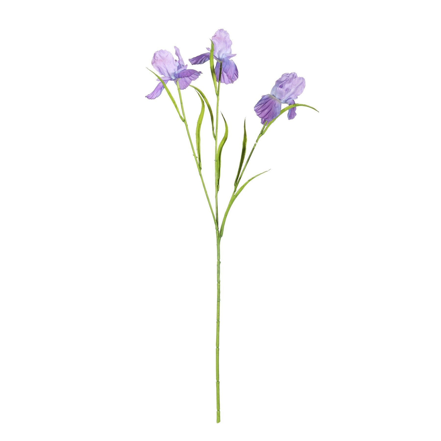 Purple Iris Spray (60cm)