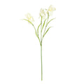 Yellow Iris Spray (60cm)