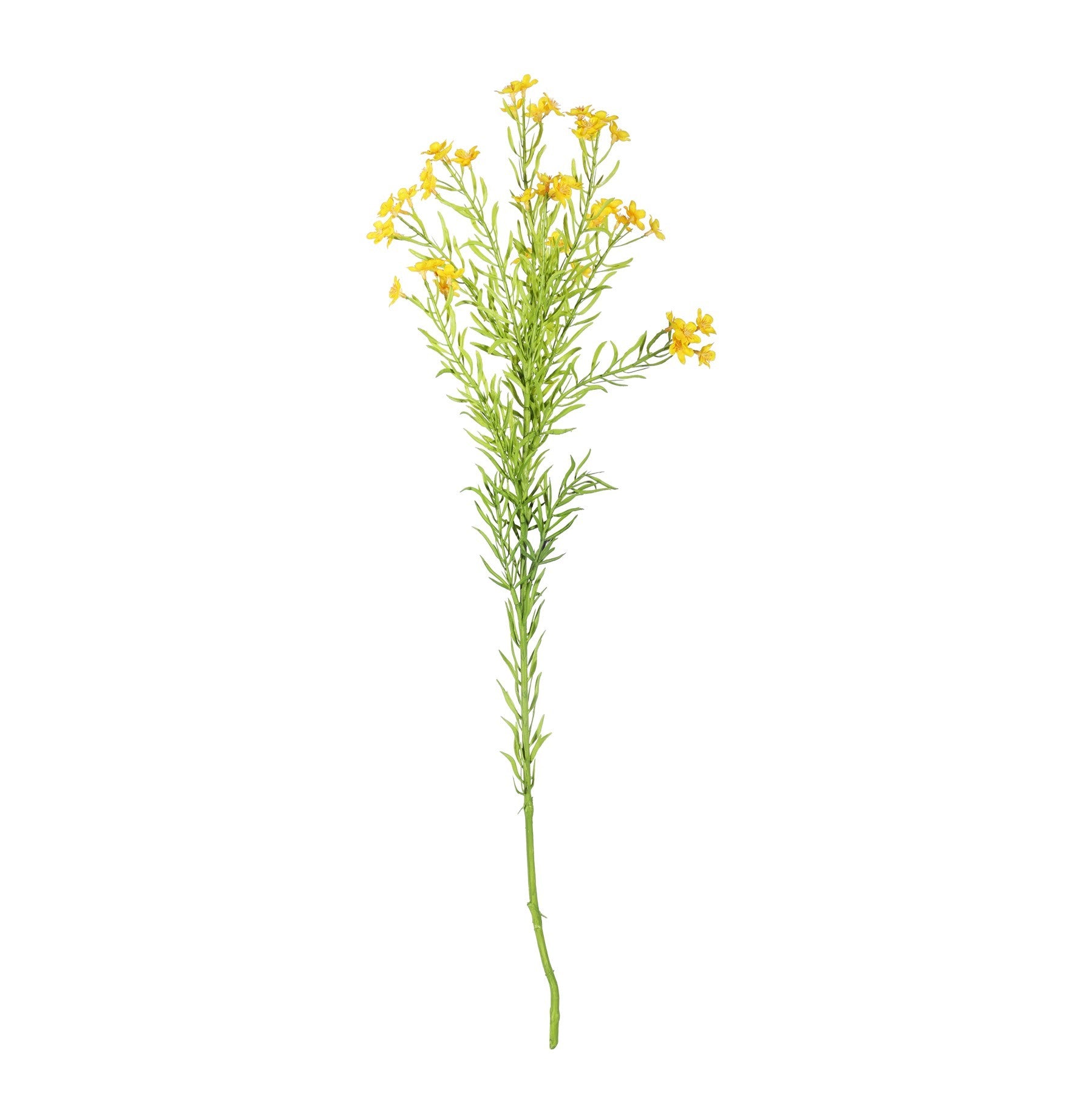Waxflower Flower Yellow (68cm)