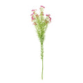 Dark Pink Waxflower (68cm)