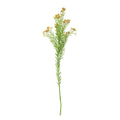 Waxflower Flower Green (68cm)