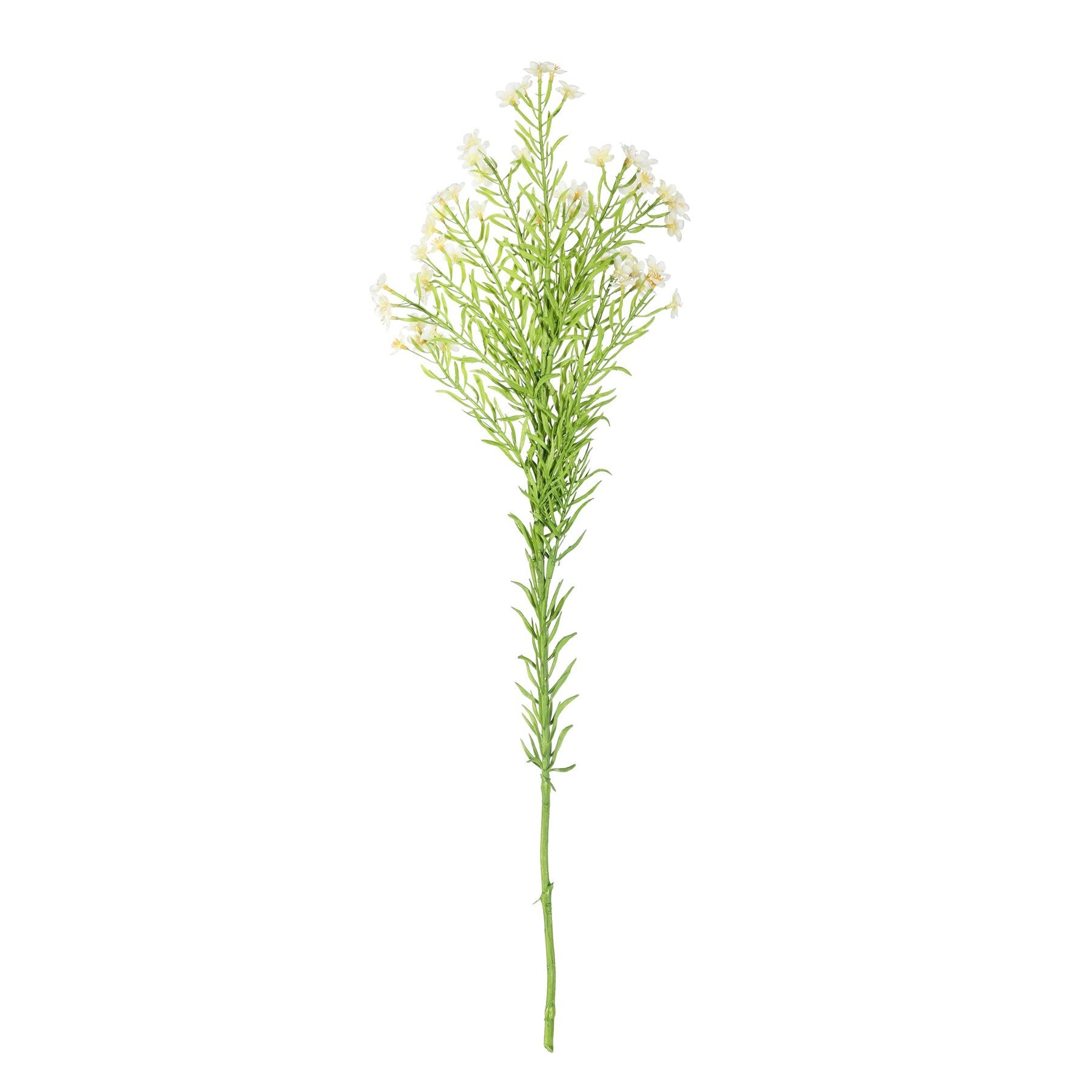 Waxflower Flower Cream (68cm)