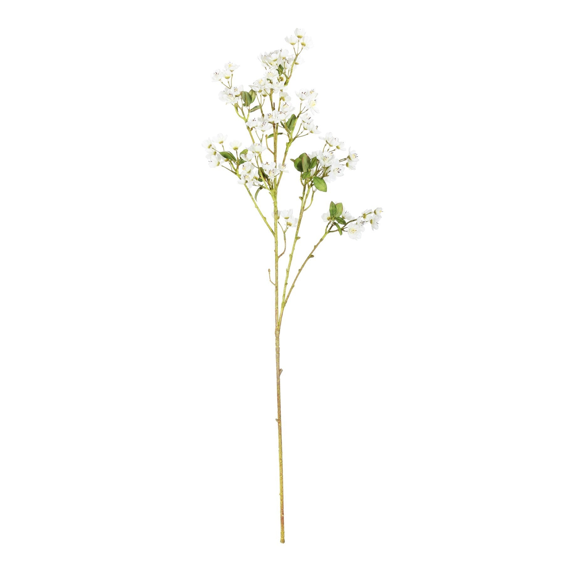Mini Peach Blossom Cream (87cm)