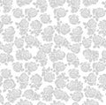 White Cut Out Roses Film