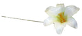 White Harissi Lily Pick (x100)