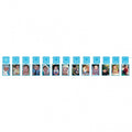 1st Birthday Blue Glitter Photo Garland
