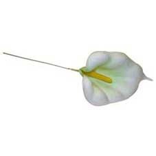 White Calla Lily Pick (x100)