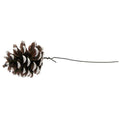 Austriaca Cones White Tipped on Wire
