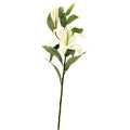 Lilium Spray White