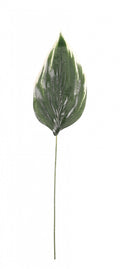 Green Hosta Single Leaf 26 inch