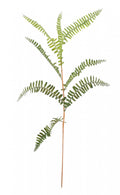 Mini Fern Spray 70cm