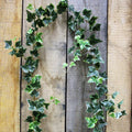 6ft Irish Ivy Garland Green Variegated