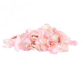 Champagne Pink Rose Petals