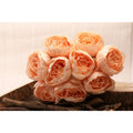 Peony Bunch Peach 40cm